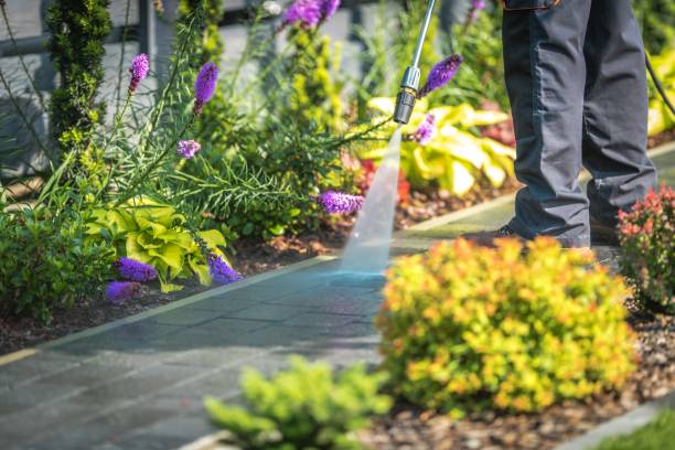 Reliable Templeton, CA Pressure Washing Services Solutions